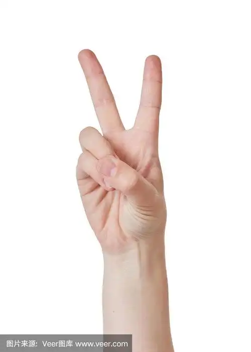 举手做v形手势
