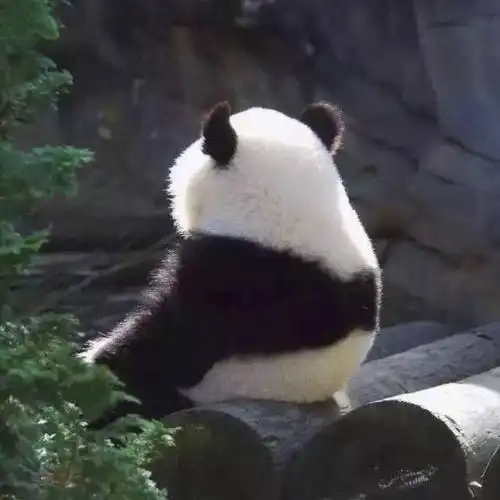 会给人爱搭不理的感觉背影,侧影的照片要慎用似乎是这张头像的潜台词