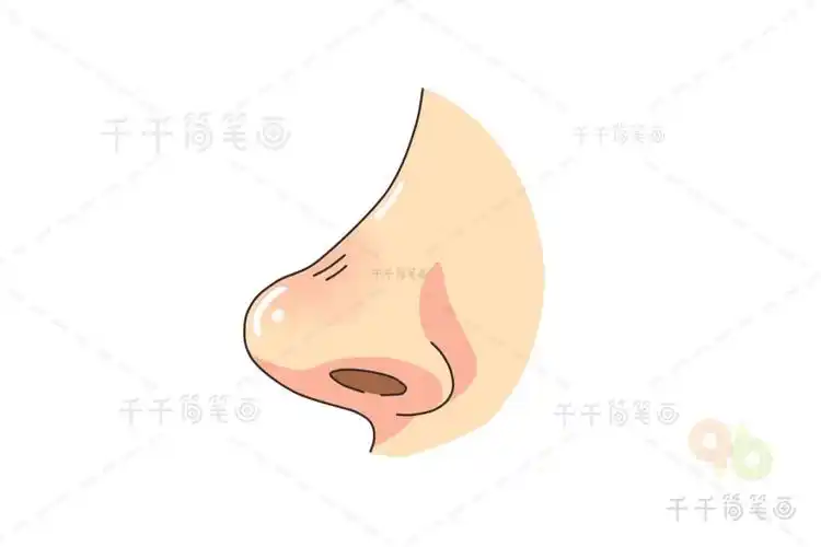 鼻子简笔画侧脸