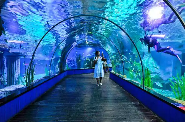 兰州极地海洋世界邀您免费游玩向城市守护者致敬