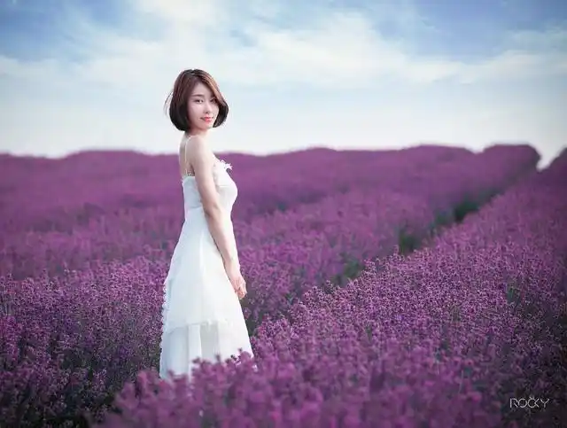 女孩摄影:紫色的花海