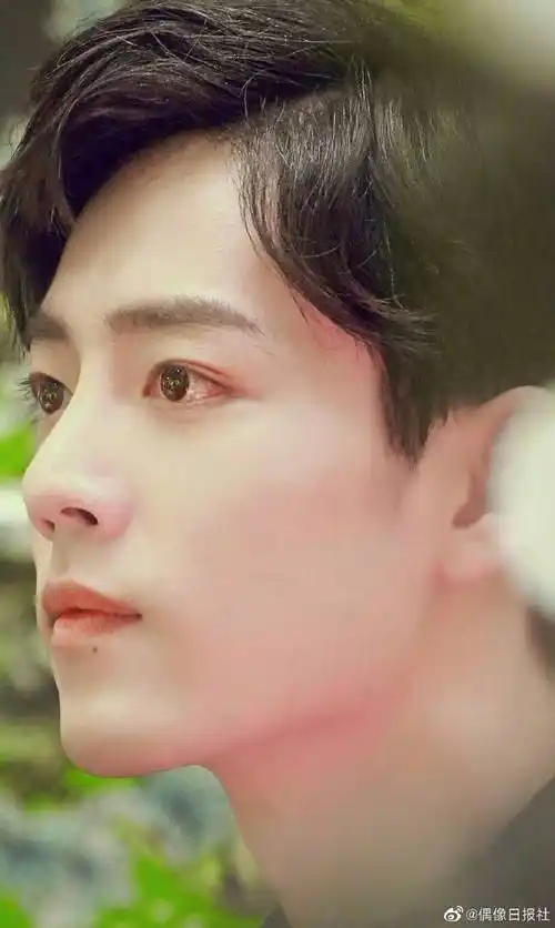 肖战天台侧颜照