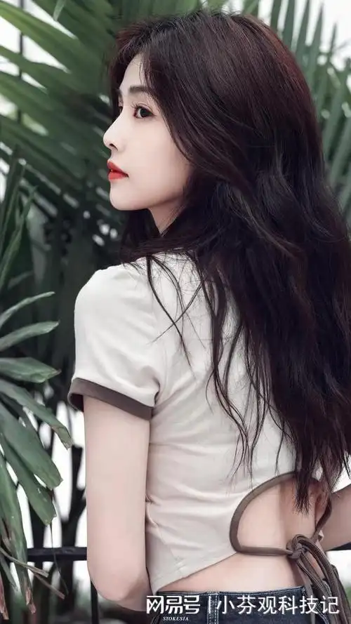 明星壁纸第五十期白鹿