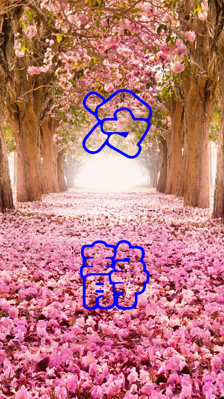 巩庆迎程方好快来领取你的动态手机壁纸