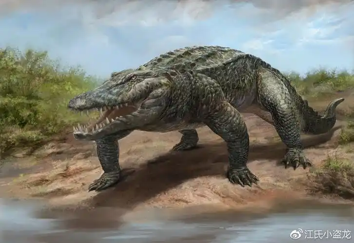 四万年前的澳大利亚鳄鱼在陆上奔跑
