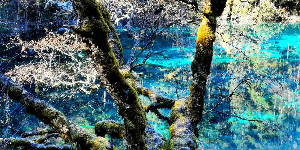 上天之水～人间仙境九寨沟