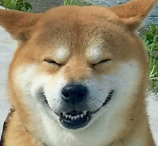 2016年7月              5          表情 0个字符评论