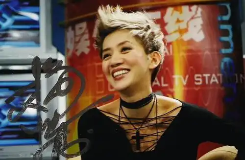 梅艳芳逝世15周年,赵雅芝关锦鹏郑秀文梁咏琪戏内戏外怀念她!