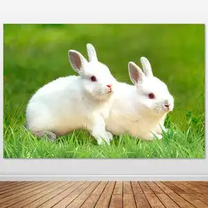 兔子挂画小白兔装饰画生肖儿童房两只兔子早教自粘背景墙贴画定制