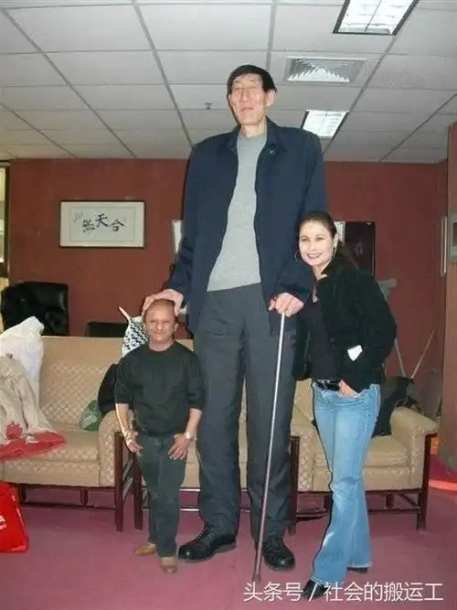 中国十大巨人(最高是2.56米,)