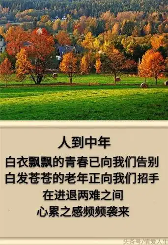 人生,有一种心累,它的名字叫:人到中年!「句句戳心」