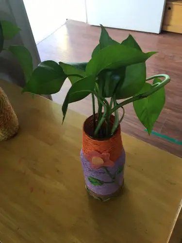 趣味dly—瓶子的变废为宝! - 美篇