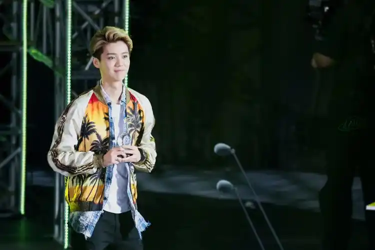 鹿晗160323 qq音乐巅峰盛典 - 堆糖,美图壁纸兴趣社区