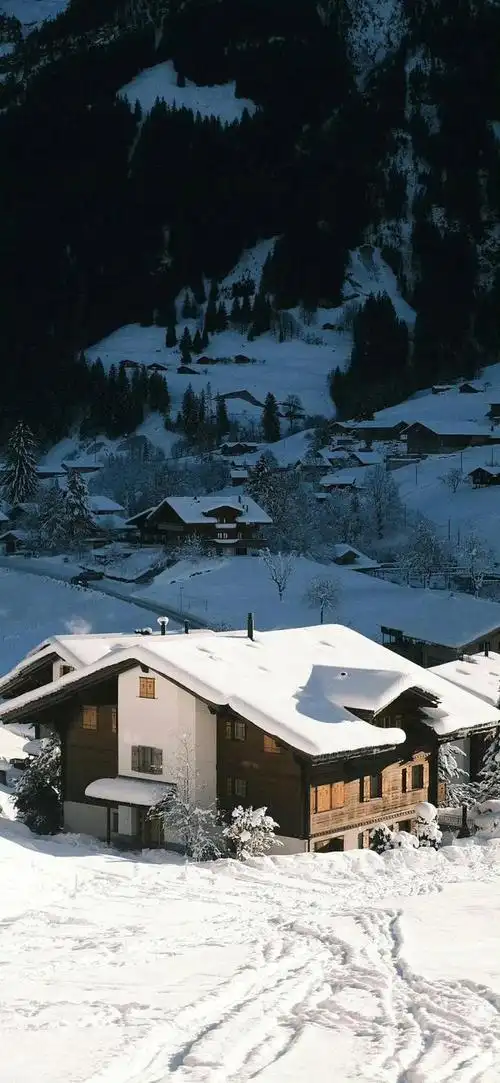 潮流壁纸精选〡20240227