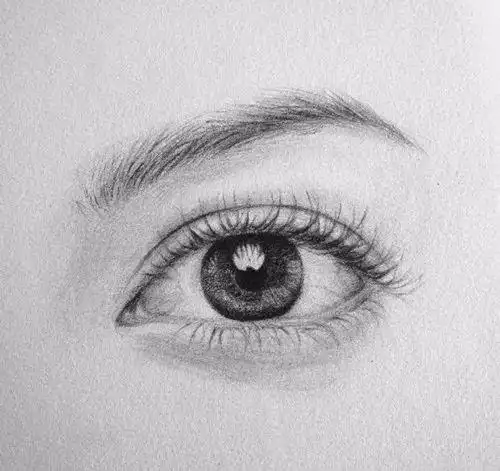 素描入门眼睛素描画法步骤图片