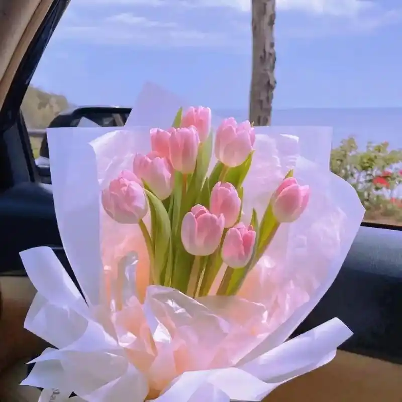 ins鲜花背景图封面