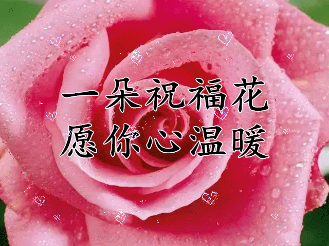 640_480gif 动态图 动图