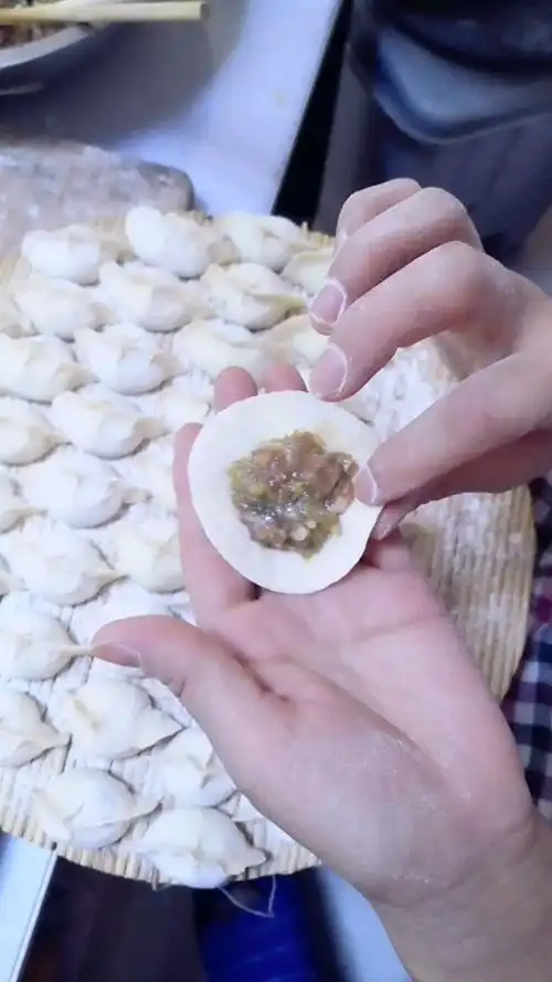 跟姐学包元宝水饺 你学会了吗?