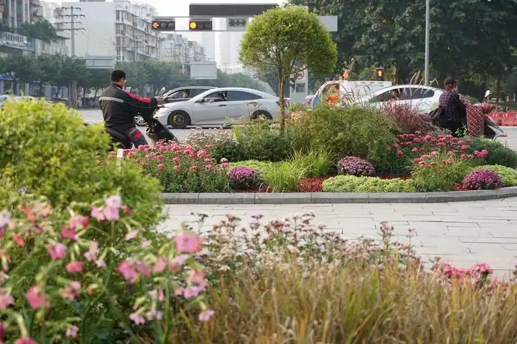 资阳松涛路一段十字路口的绿化增加了更多的布景,看起来好高大上!