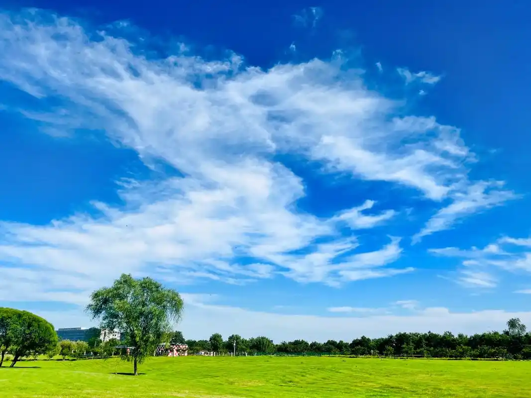 #今天的天空特别美 #治愈系风景 #手机摄影 蓝天白云,还 - 抖音