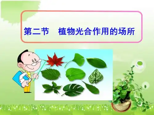 第二节植物光合作用的场所