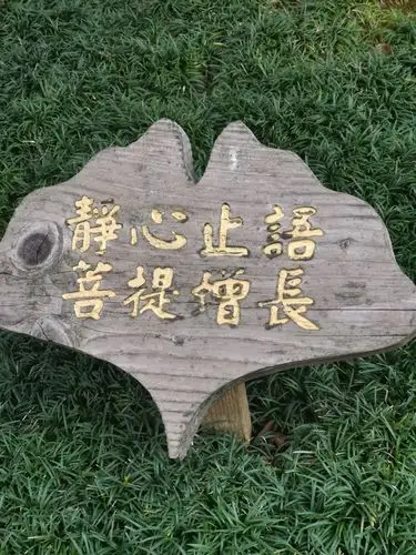 静心止语,我的理解是心无旁骛,戒夸夸其谈!