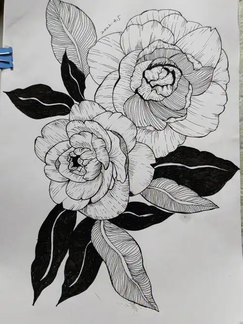 52黑白线条画花临摹控笔零基础画画