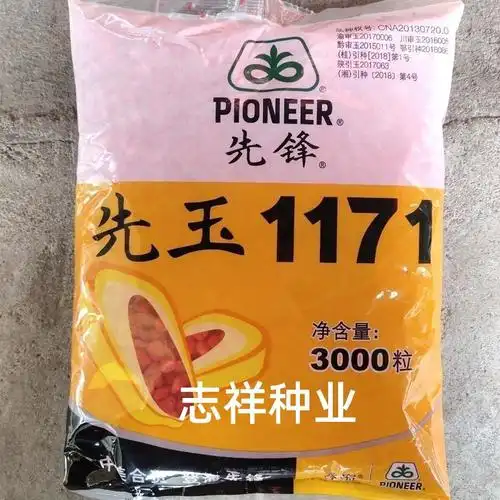 登海先锋先玉1171高产大棒玉米种子杂交 轴细粒深抗倒3000粒