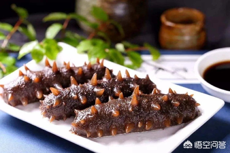 葱烧海参怎么做好吃(葱烧海参怎么做葱烧海参的做法)