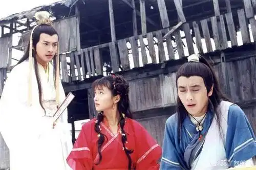 80后看过的经典电视剧你看过几部?