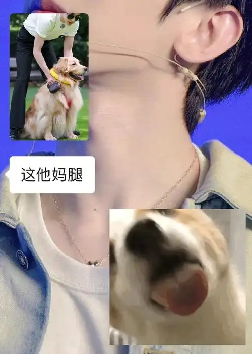 世界美腿大赛第一名7215#奔跑吧蔡徐坤#@蔡徐坤