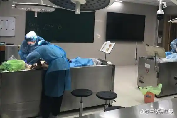 人体标本制作师每天在劳累惊恐度过一年处理50具捐献遗体