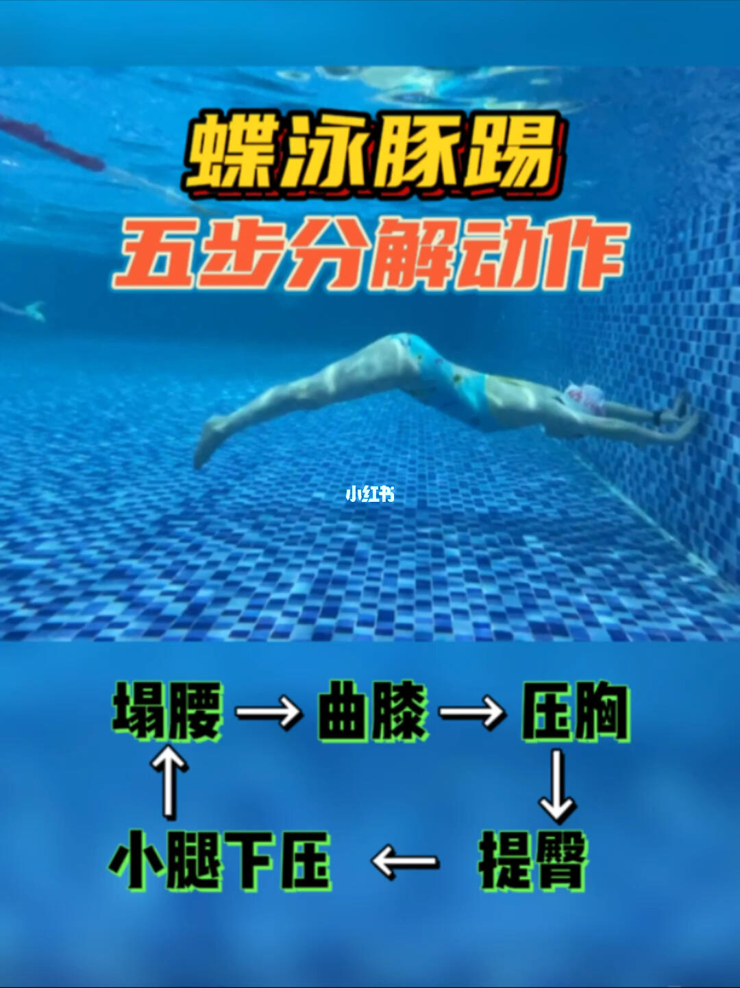 5步让你拥有丝滑0469美人鱼蝶泳海豚腿