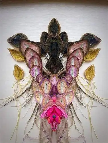 艺术家rutanaujalyte美到令人窒息的缝纫线钩编艺术