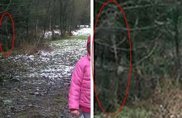 世上真实的"鬼照片"