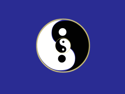 454_340gif 动态图 动图