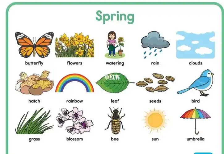 少儿英语启蒙  #英语启蒙  #小学英语  #单词银行  #word  mat