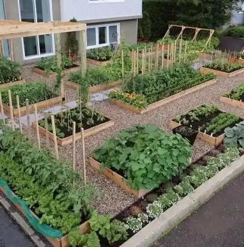 有一种菜园也叫花园 - 东方御景_别墅花园设计_别墅景观设计_屋顶花园