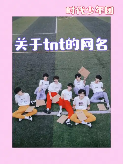 tnt的守护者4,tnt是病要我命5,tnt是我抹不去的记忆6,tnt是我的小呀