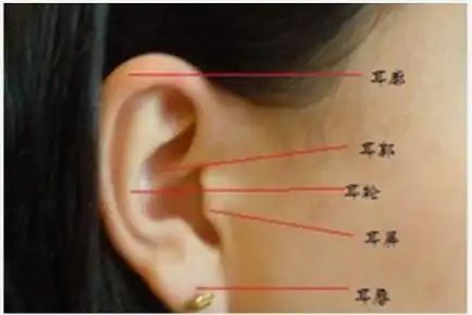 考虑问题非常全面,不会遗漏;女人的耳垂代表生育,如果耳垂有痣,说明生