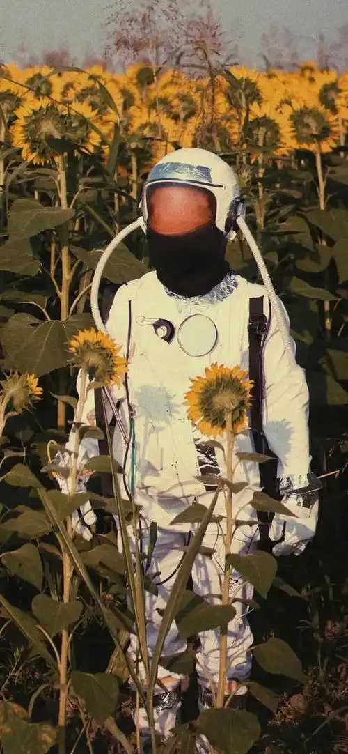 抖音文案背景图高清2021最火背景图片