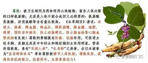 女人每天一碗葛粉,拥有迷人气色~_葛根