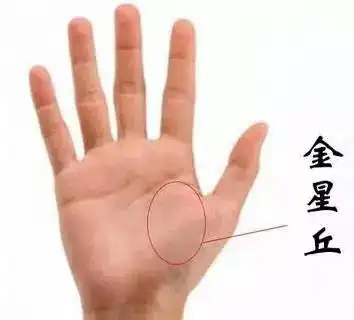 首先金星丘饱满,生命线围主的位置特别大,弧形特别大,金星丘为女性的