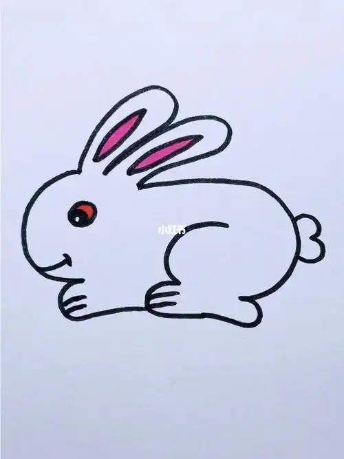 简笔画简笔画动物兔子简笔画小兔子简笔画兔子简笔画图片卡通原创马克