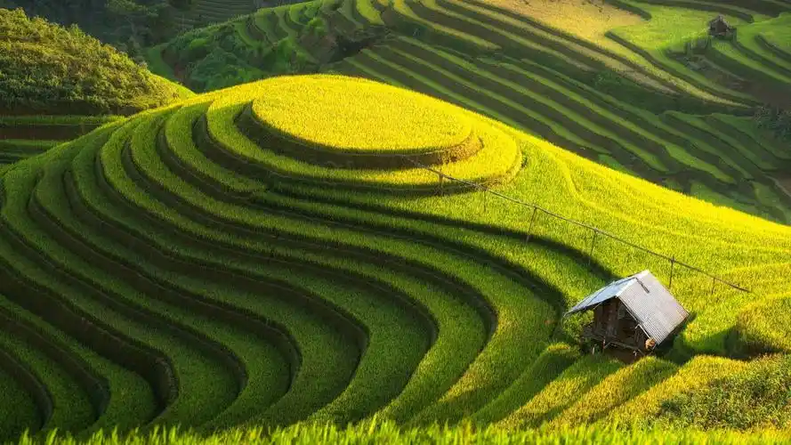 绿色护眼高清风景壁纸114