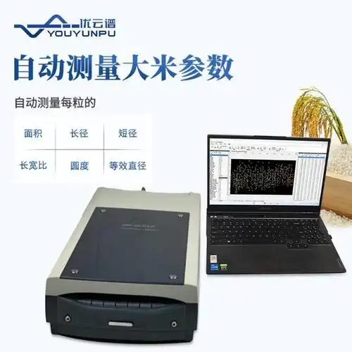 大米外观品质检测仪:多参数,批量化自动分析|坚果|水稻_网易订阅