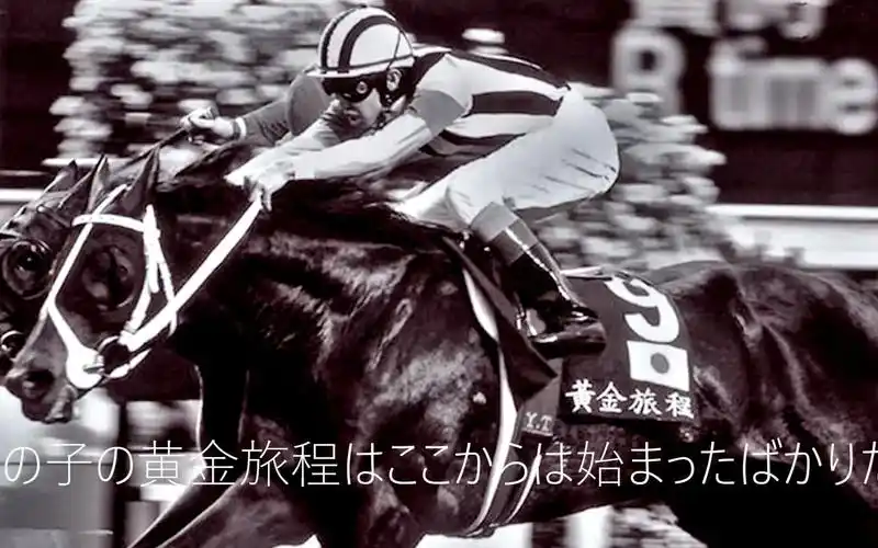 【自制】jracm风黄金旅程