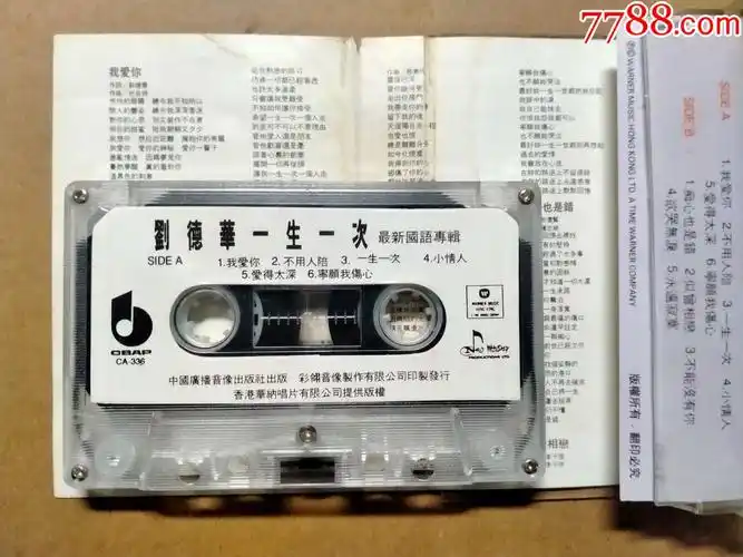 刘德华一生一次