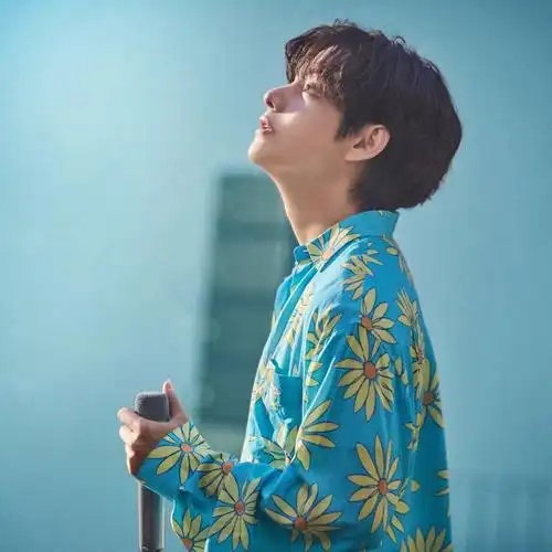 btsxhyundai七人合集