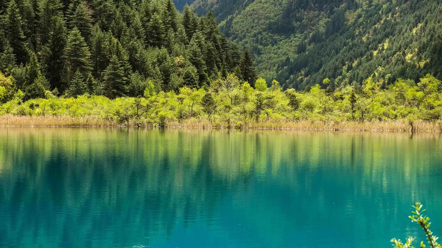 风景壁纸 九寨沟优美自然风景高清图片桌面壁纸 (2/ 11) 2018-01-12